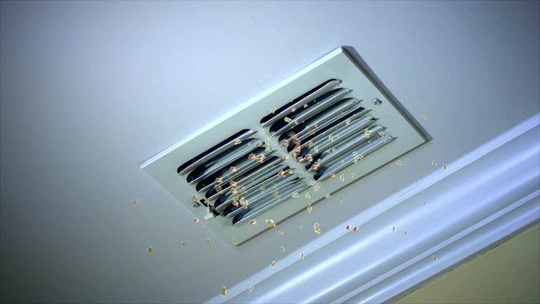 Professional Airduct Cleaning in Hohenwald, TN
