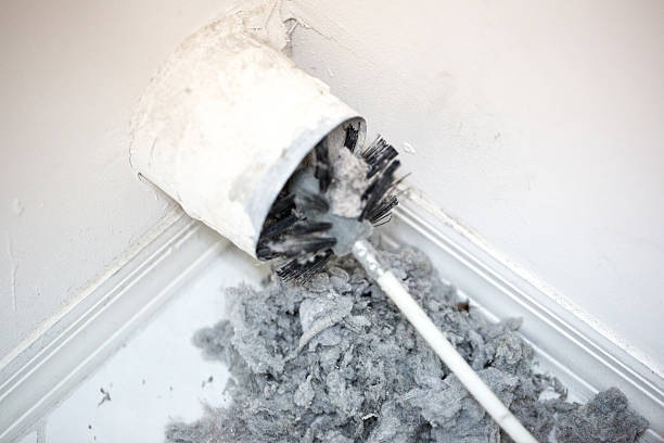 Best Emergency Air Duct Cleaning  in Hohenwald, TN